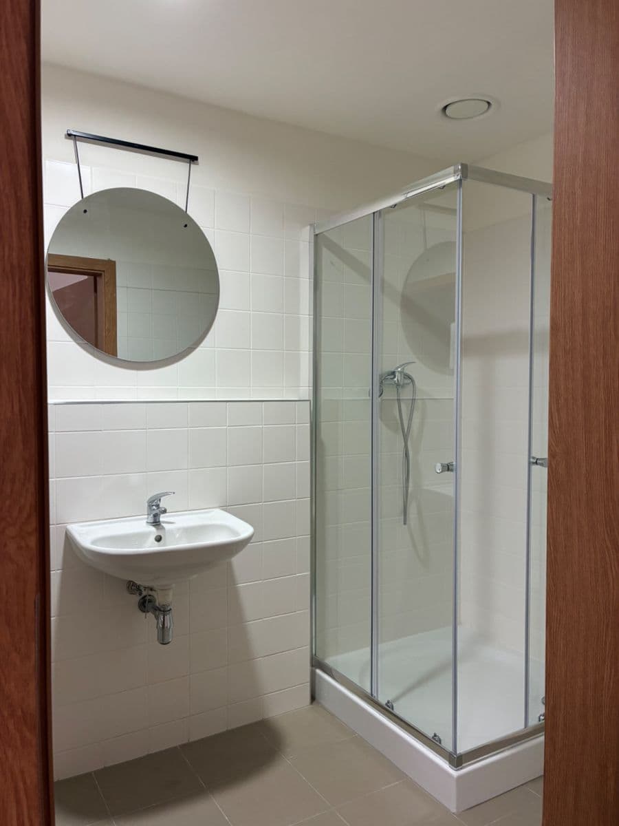 1 bedroom with open-plan kitchen flat to rent, 92 m², Pod Dvorem, Prague, Prague 1 bedroom with open-plan kitchen flat to rent, 92 m², Pod Dvorem, Prague, Prague