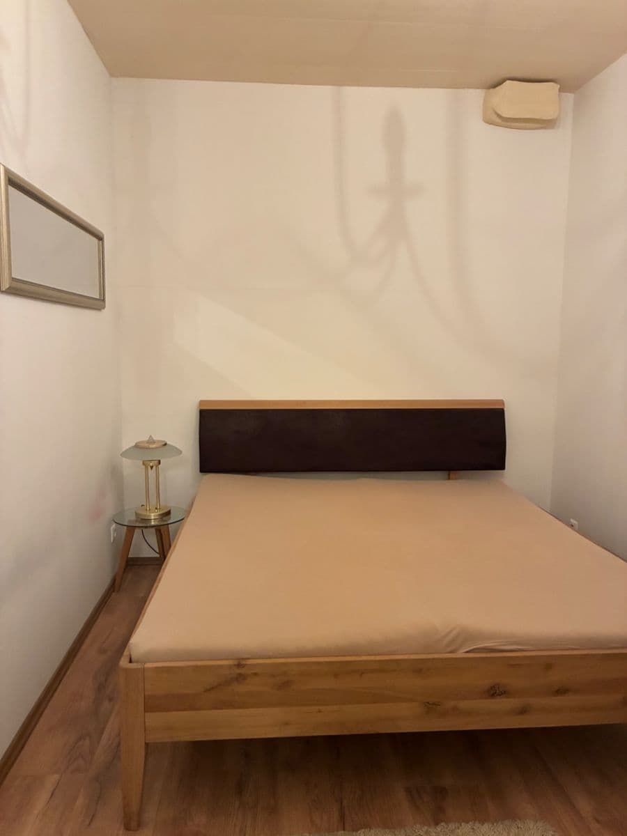 1 bedroom with open-plan kitchen flat to rent, 43 m², Pod Dvorem, Prague, Prague 1 bedroom with open-plan kitchen flat to rent, 43 m², Pod Dvorem, Prague, Prague