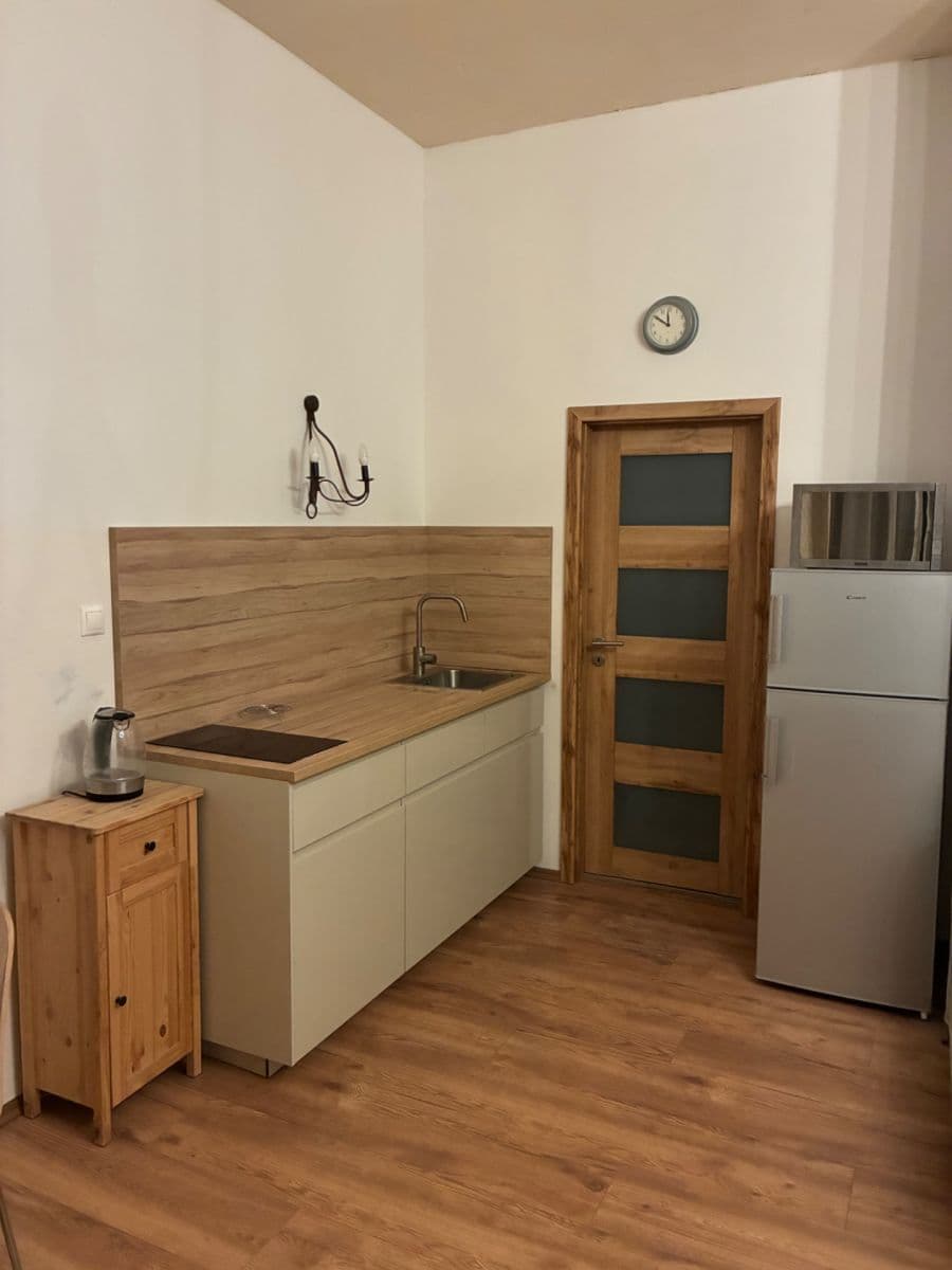 1 bedroom with open-plan kitchen flat to rent, 43 m², Pod Dvorem, Prague, Prague 1 bedroom with open-plan kitchen flat to rent, 43 m², Pod Dvorem, Prague, Prague