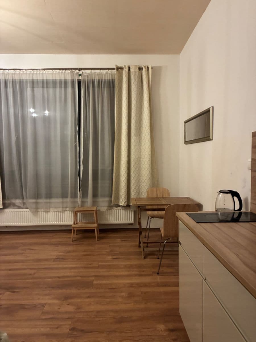 1 bedroom with open-plan kitchen flat to rent, 43 m², Pod Dvorem, Prague, Prague 1 bedroom with open-plan kitchen flat to rent, 43 m², Pod Dvorem, Prague, Prague