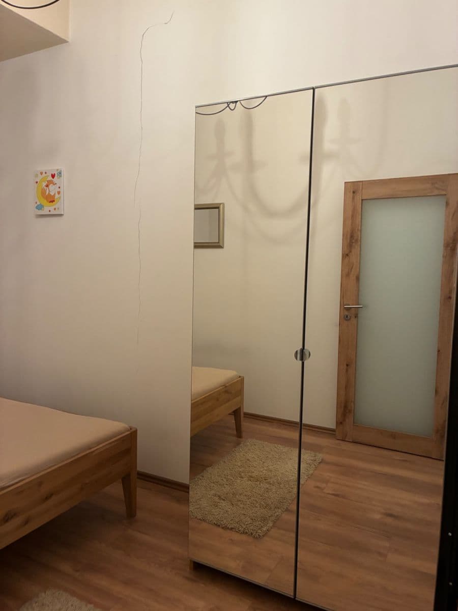 1 bedroom with open-plan kitchen flat to rent, 43 m², Pod Dvorem, Prague, Prague 1 bedroom with open-plan kitchen flat to rent, 43 m², Pod Dvorem, Prague, Prague