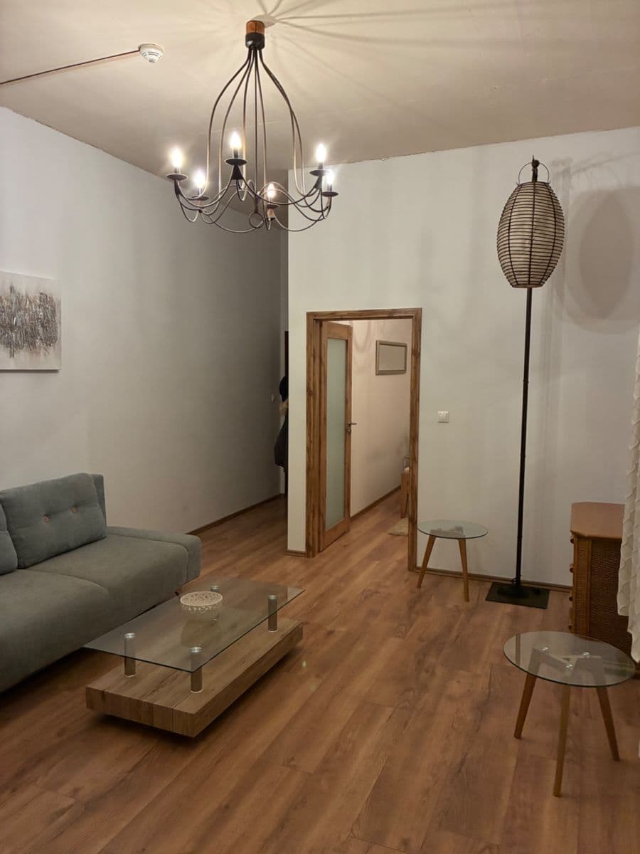 1 bedroom with open-plan kitchen flat to rent, 43 m², Pod Dvorem, Prague, Prague 1 bedroom with open-plan kitchen flat to rent, 43 m², Pod Dvorem, Prague, Prague
