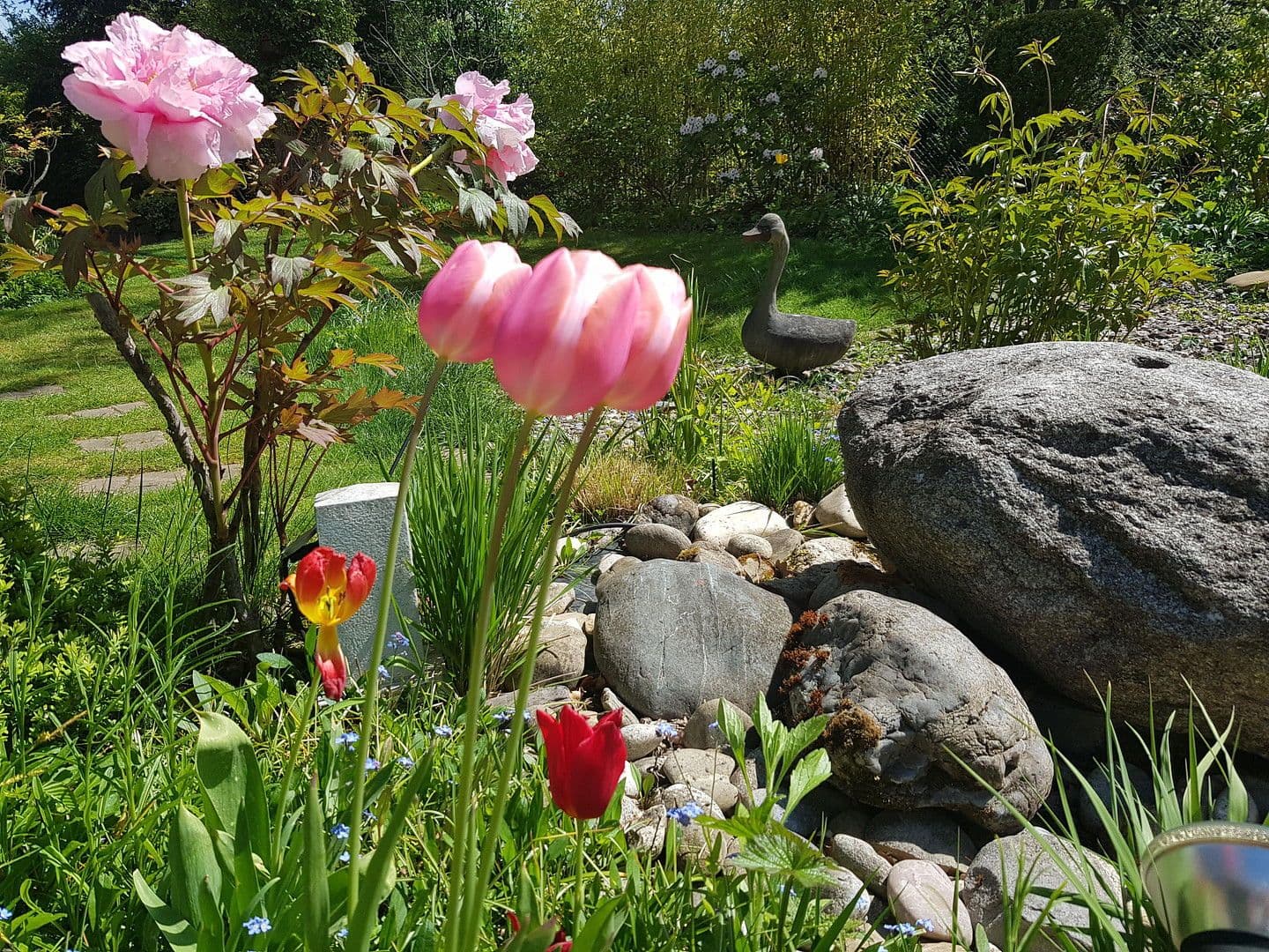 house for sale, 320 m², Köln, North Rhine-Westphalia house for sale, 320 m², Köln, North Rhine-Westphalia