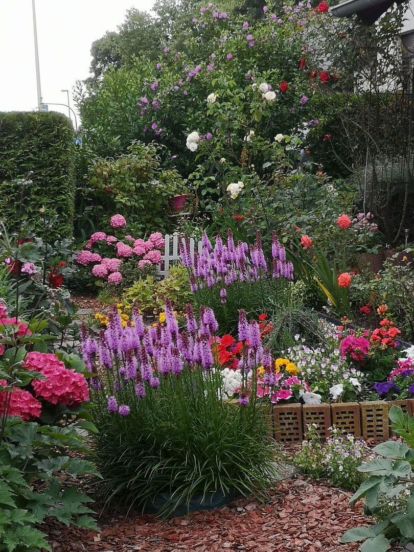 house for sale, 153 m², Wolfsburg, Lower Saxony house for sale, 153 m², Wolfsburg, Lower Saxony