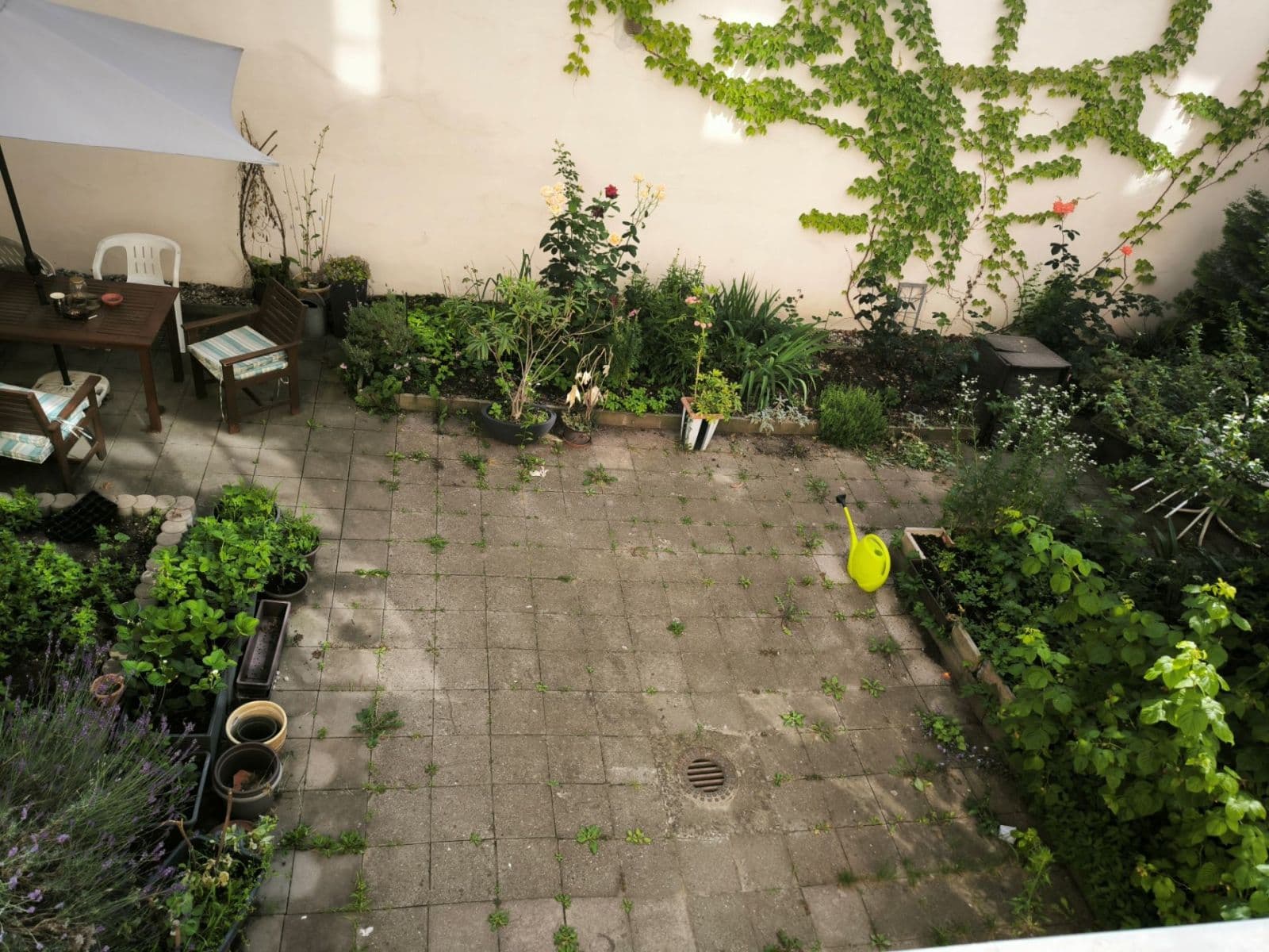 1 bedroom with open-plan kitchen flat to rent, 45 m², Šaldova, Prague, Prague 1 bedroom with open-plan kitchen flat to rent, 45 m², Šaldova, Prague, Prague