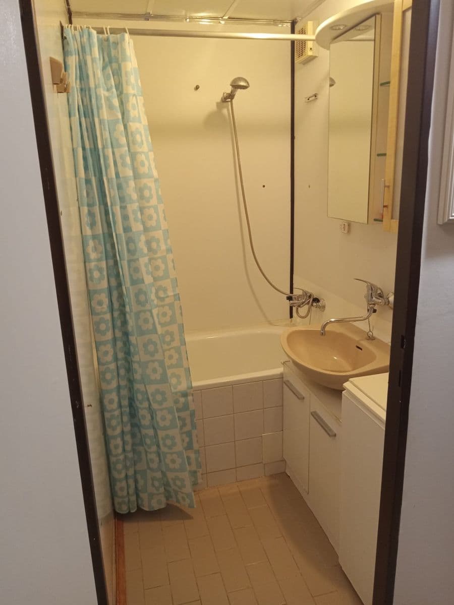 1 bedroom with open-plan kitchen flat to rent, 50 m², Vilímkova, Prague, Prague 1 bedroom with open-plan kitchen flat to rent, 50 m², Vilímkova, Prague, Prague