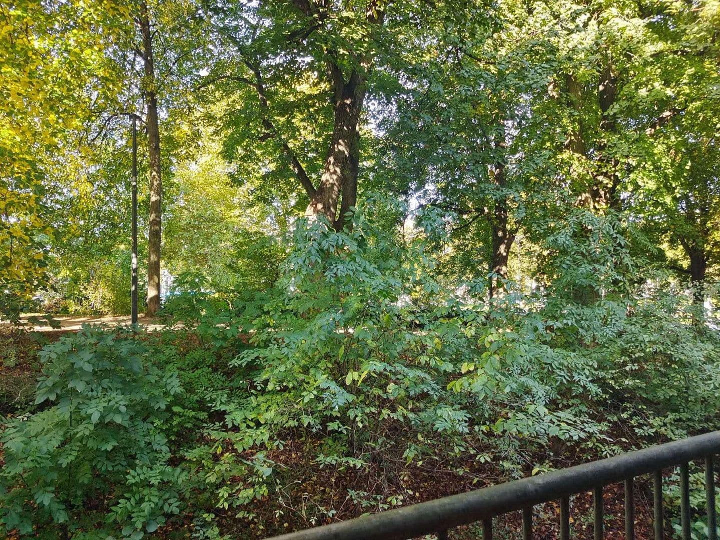 4 bedroom flat for sale, 87 m², Geiststraße 3c, Göttingen, Lower Saxony 4 bedroom flat for sale, 87 m², Geiststraße 3c, Göttingen, Lower Saxony