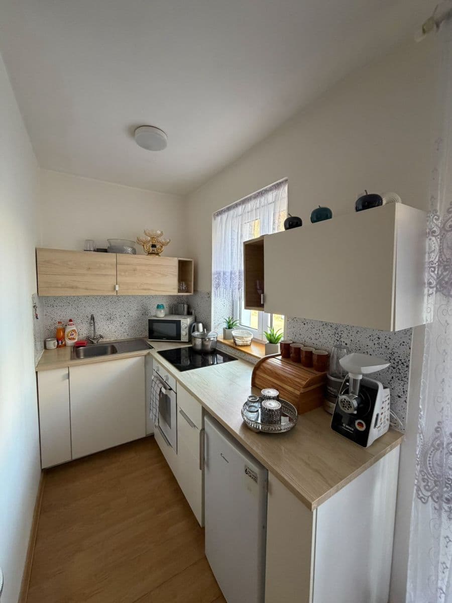 1 bedroom with open-plan kitchen flat for sale, 46 m², Cejl, Brno, Jihomoravský Region 1 bedroom with open-plan kitchen flat for sale, 46 m², Cejl, Brno, Jihomoravský Region