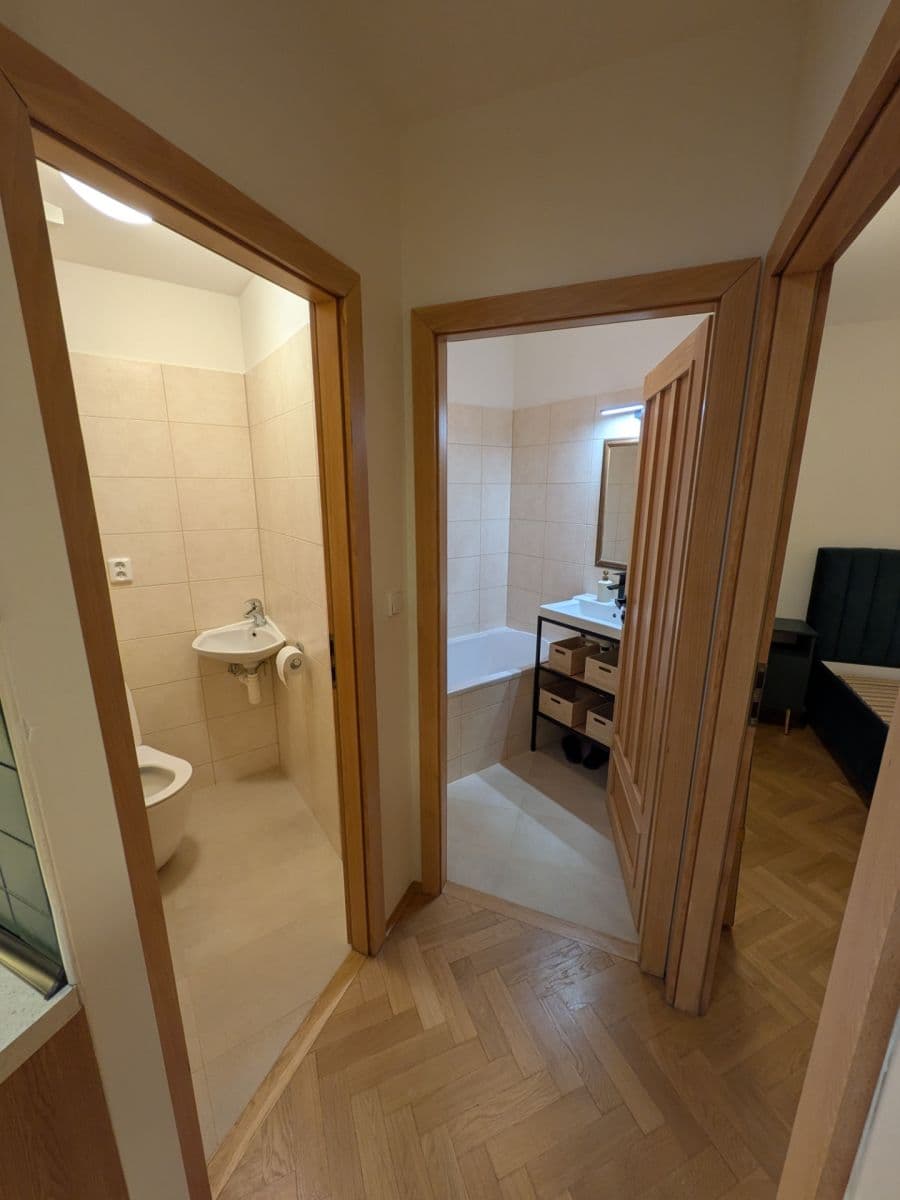 1 bedroom with open-plan kitchen flat to rent, 42 m², Klimentská, Prague, Prague 1 bedroom with open-plan kitchen flat to rent, 42 m², Klimentská, Prague, Prague