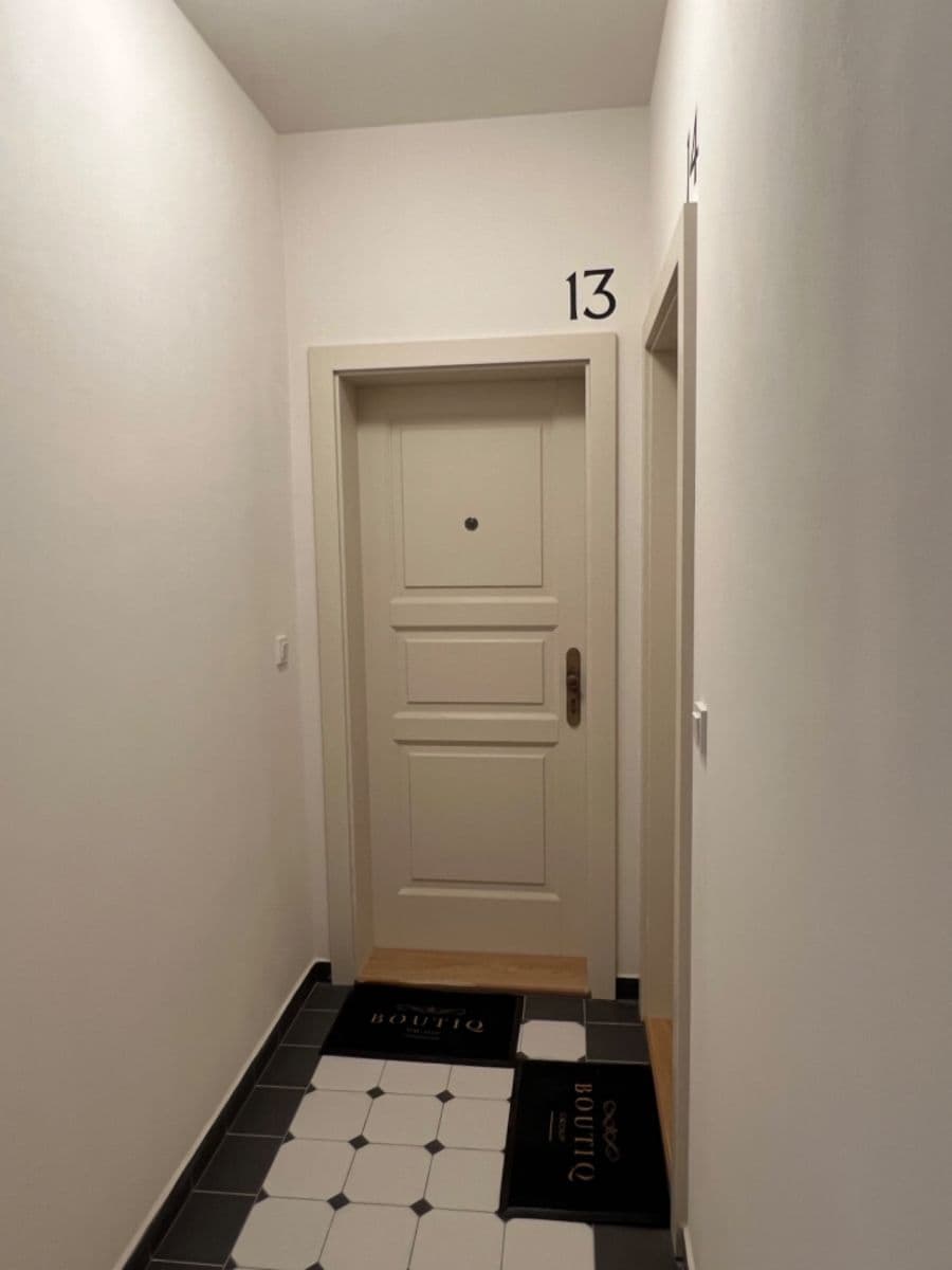 1 bedroom with open-plan kitchen flat to rent, 41 m², Tachovské náměstí, Prague, Prague 1 bedroom with open-plan kitchen flat to rent, 41 m², Tachovské náměstí, Prague, Prague