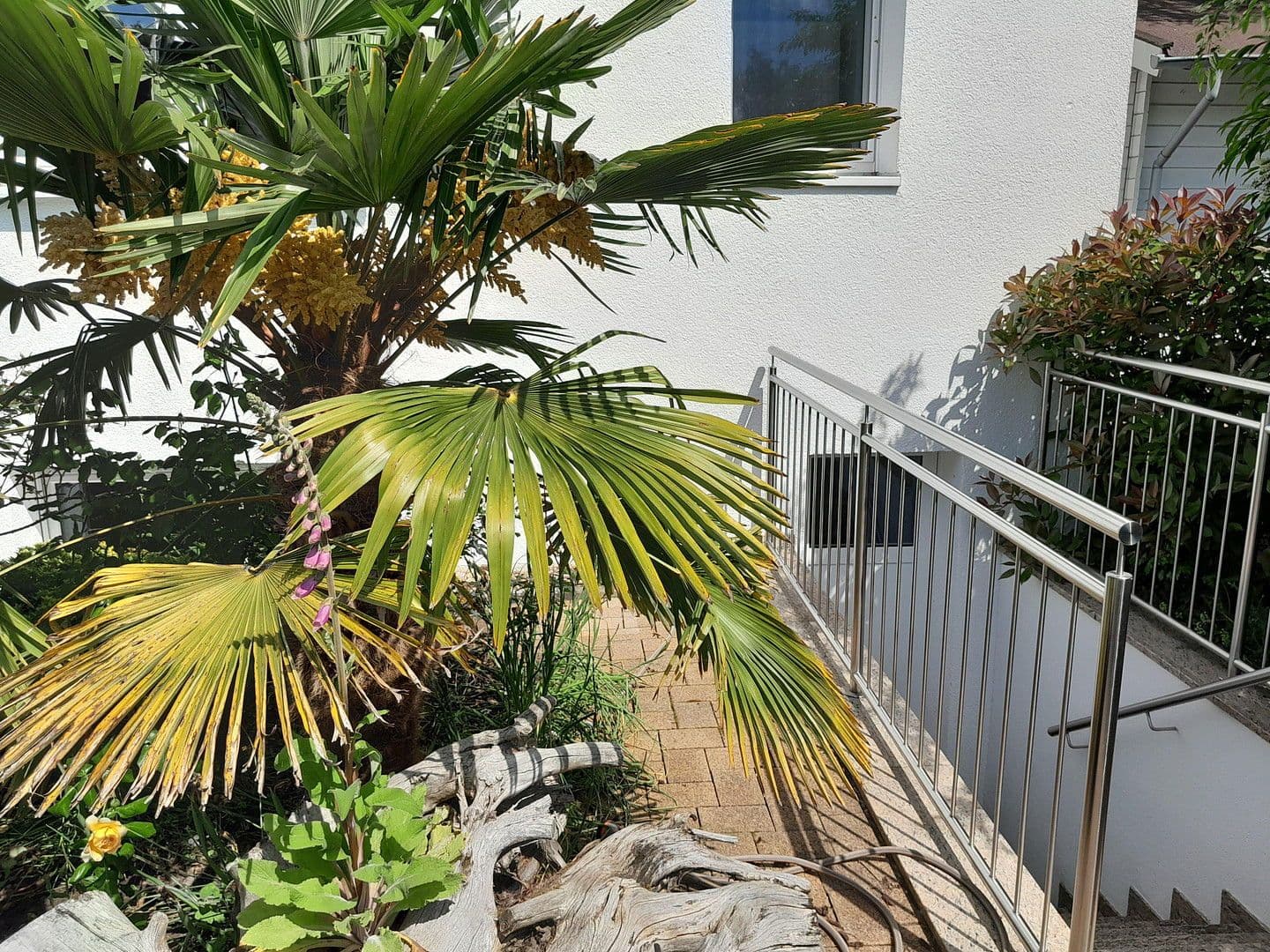 house for sale, 229 m², Hanau, Hesse house for sale, 229 m², Hanau, Hesse