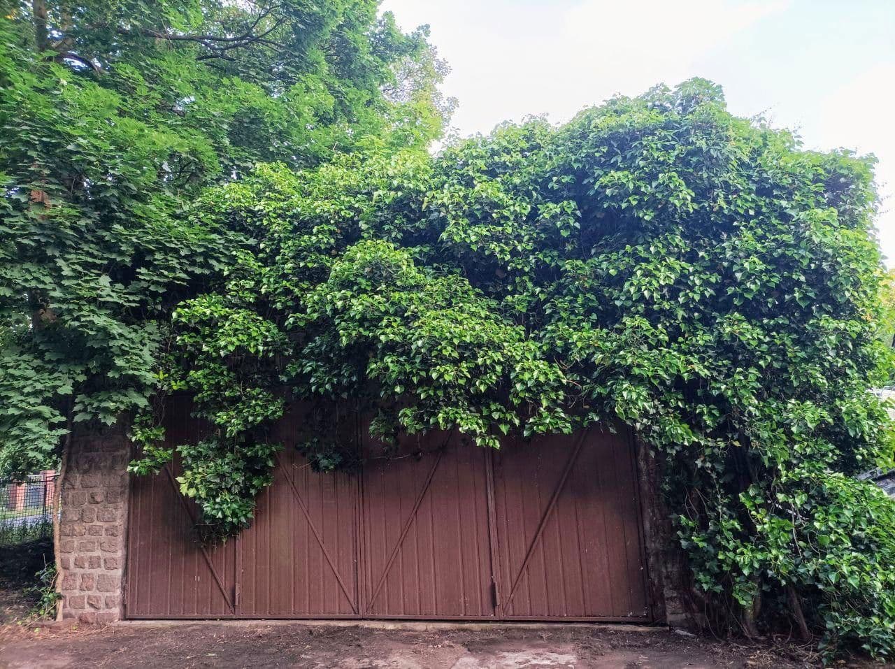 plot for sale, 500 m², Berlin, Berlin plot for sale, 500 m², Berlin, Berlin