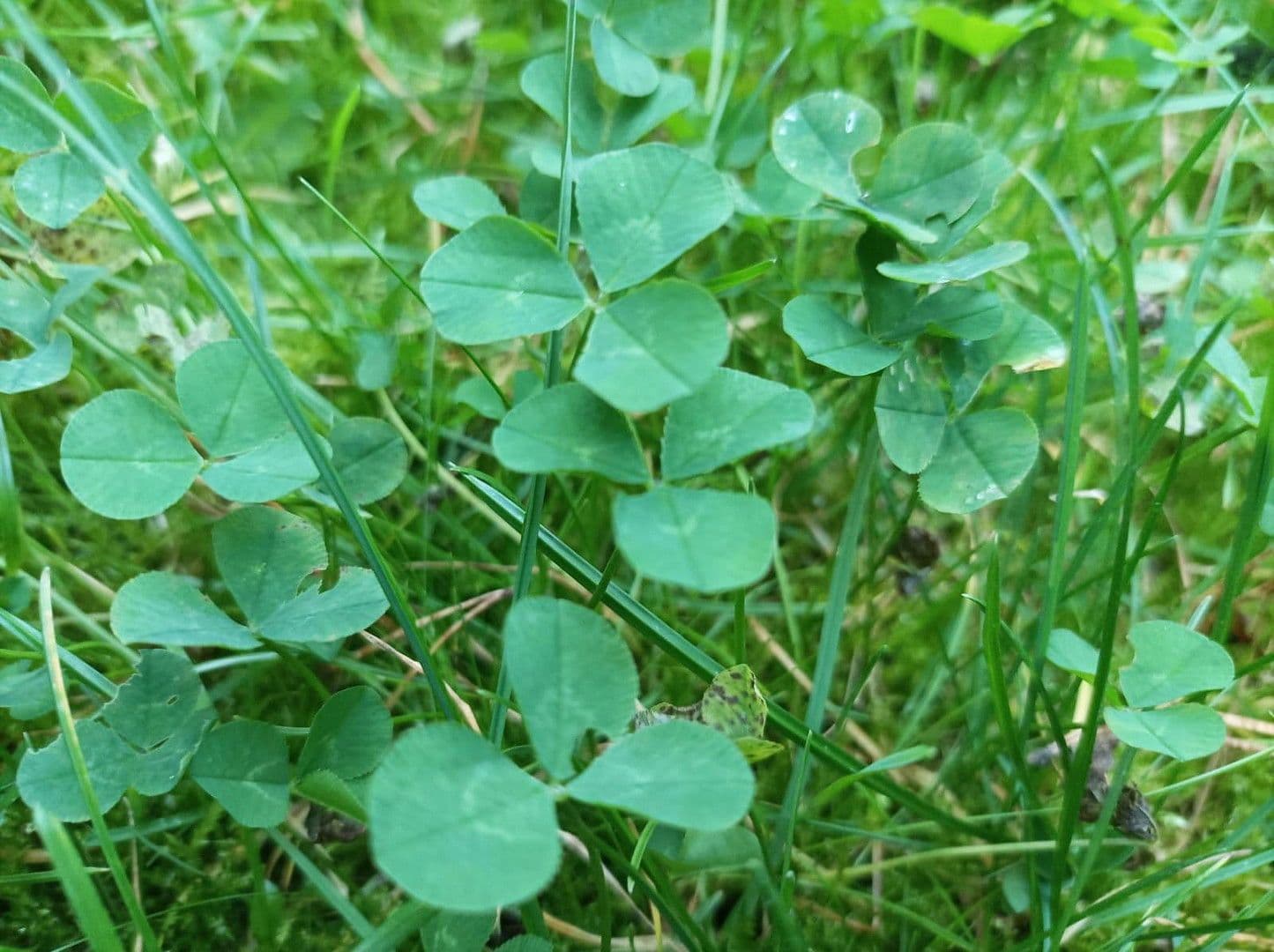 plot for sale, 500 m², Berlin, Berlin plot for sale, 500 m², Berlin, Berlin