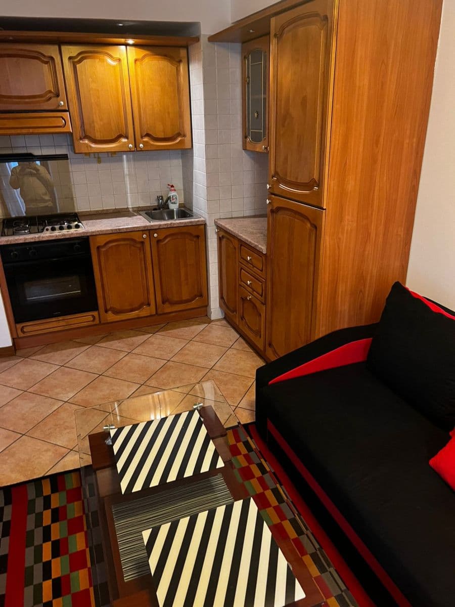 1 bedroom with open-plan kitchen flat to rent, 30 m², Bayerova, Brno, Jihomoravský Region 1 bedroom with open-plan kitchen flat to rent, 30 m², Bayerova, Brno, Jihomoravský Region