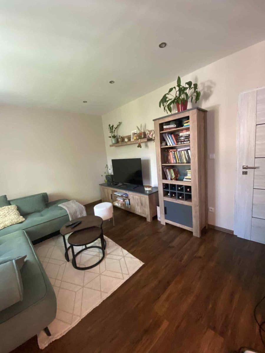 1 bedroom with open-plan kitchen flat to rent, 55 m², Rybářská, Brno, Jihomoravský Region 1 bedroom with open-plan kitchen flat to rent, 55 m², Rybářská, Brno, Jihomoravský Region