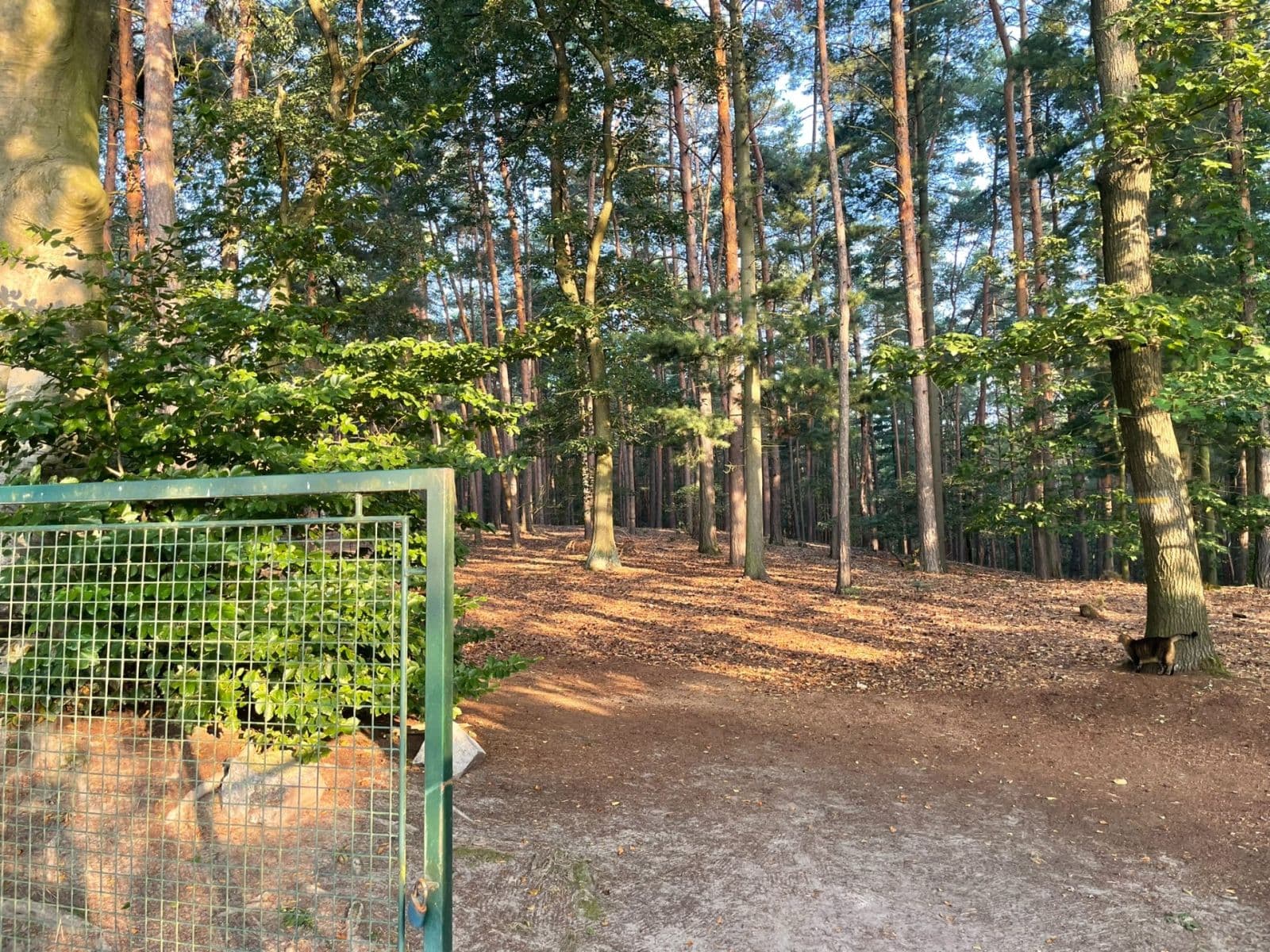 house for sale, 73 m², 23716, Líský, Středočeský Region house for sale, 73 m², 23716, Líský, Středočeský Region