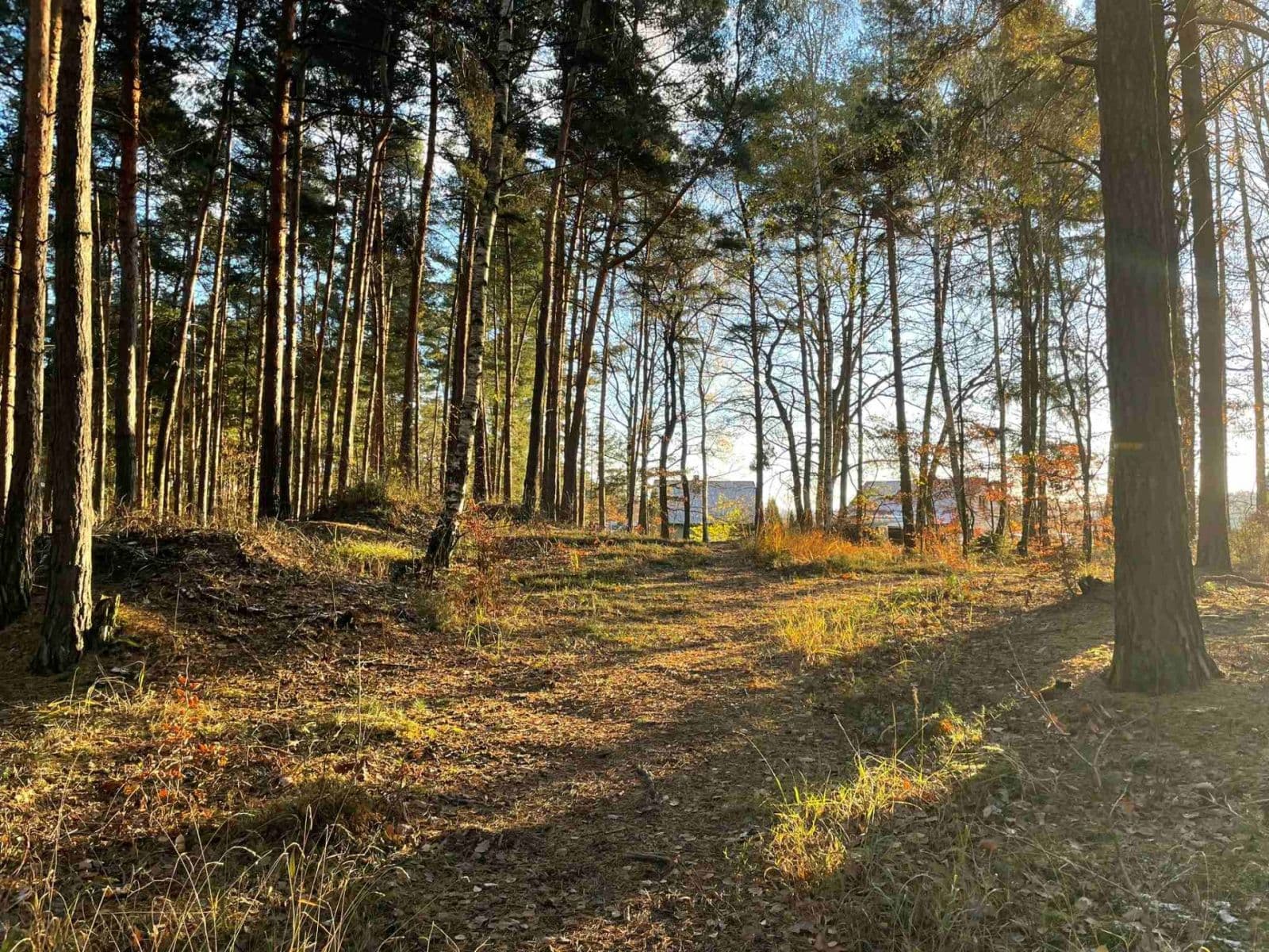 house for sale, 73 m², 23716, Líský, Středočeský Region house for sale, 73 m², 23716, Líský, Středočeský Region