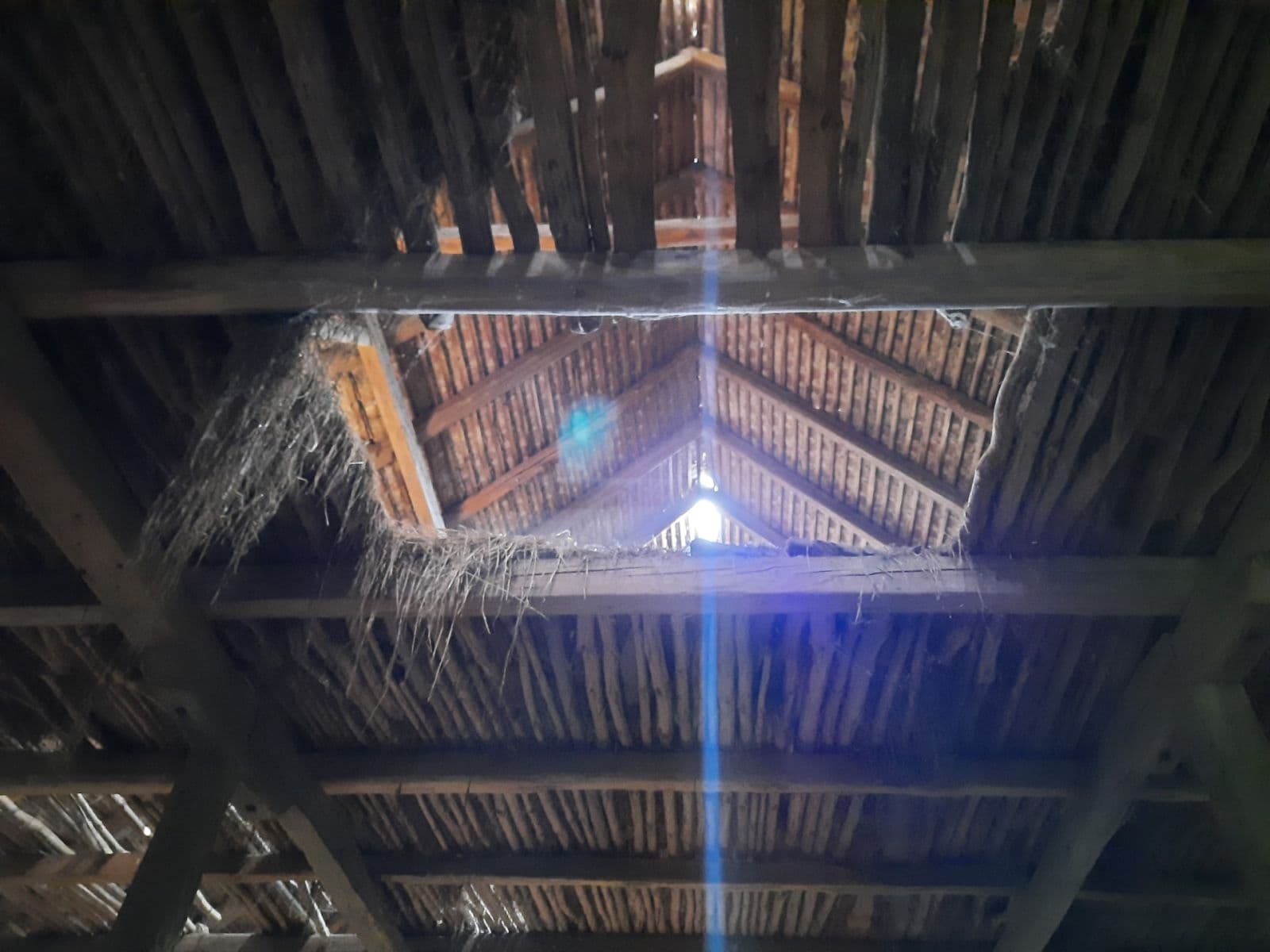 house for sale, 714 m², Jilemnického, Gbely, Trnavský Region house for sale, 714 m², Jilemnického, Gbely, Trnavský Region