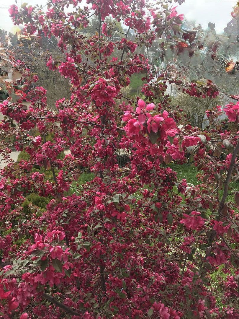 3 bedroom flat for sale, 125 m², Bad Soden am Taunus, Hesse 3 bedroom flat for sale, 125 m², Bad Soden am Taunus, Hesse