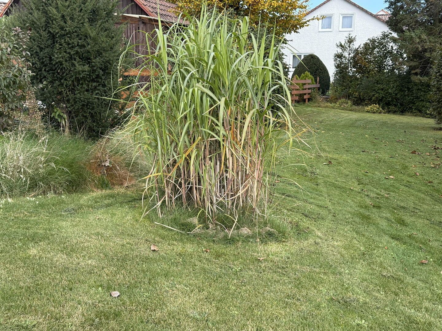 plot for sale, 797 m², Uehlfeld, Bavaria plot for sale, 797 m², Uehlfeld, Bavaria