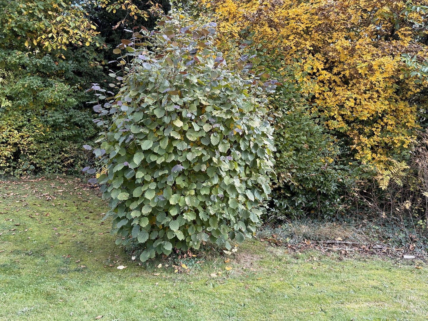 plot for sale, 797 m², Uehlfeld, Bavaria plot for sale, 797 m², Uehlfeld, Bavaria