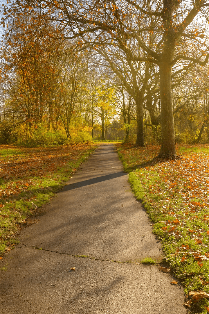 house for sale, 120 m², Köln, North Rhine-Westphalia house for sale, 120 m², Köln, North Rhine-Westphalia