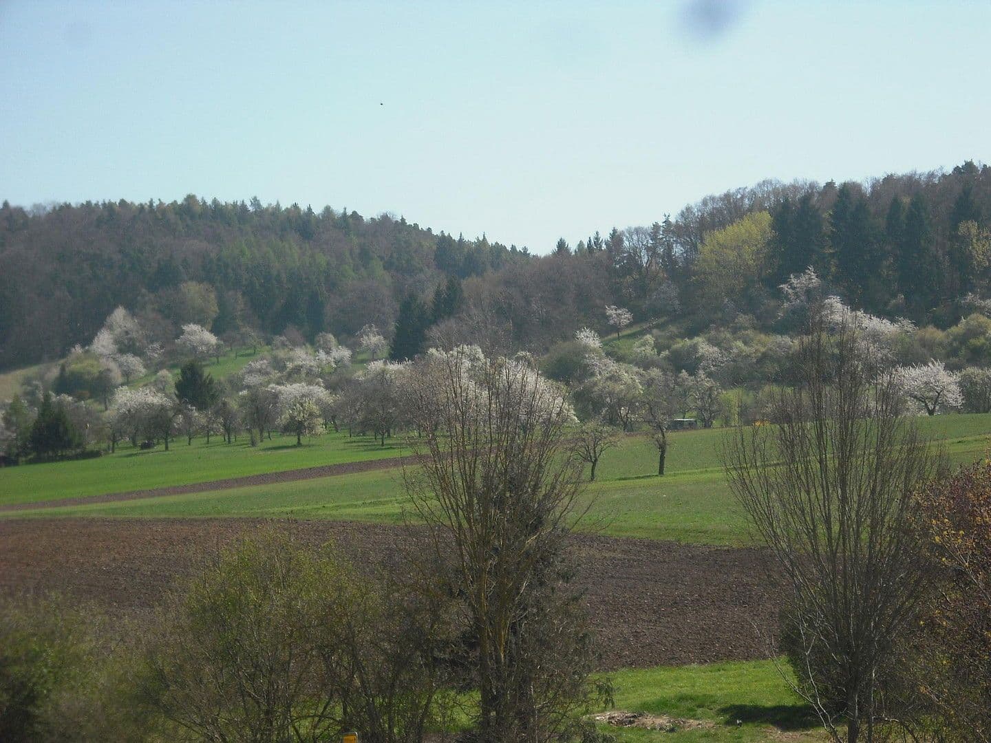 4 bedroom flat for sale, 98 m², Ammerbuch, Baden-Württemberg 4 bedroom flat for sale, 98 m², Ammerbuch, Baden-Württemberg