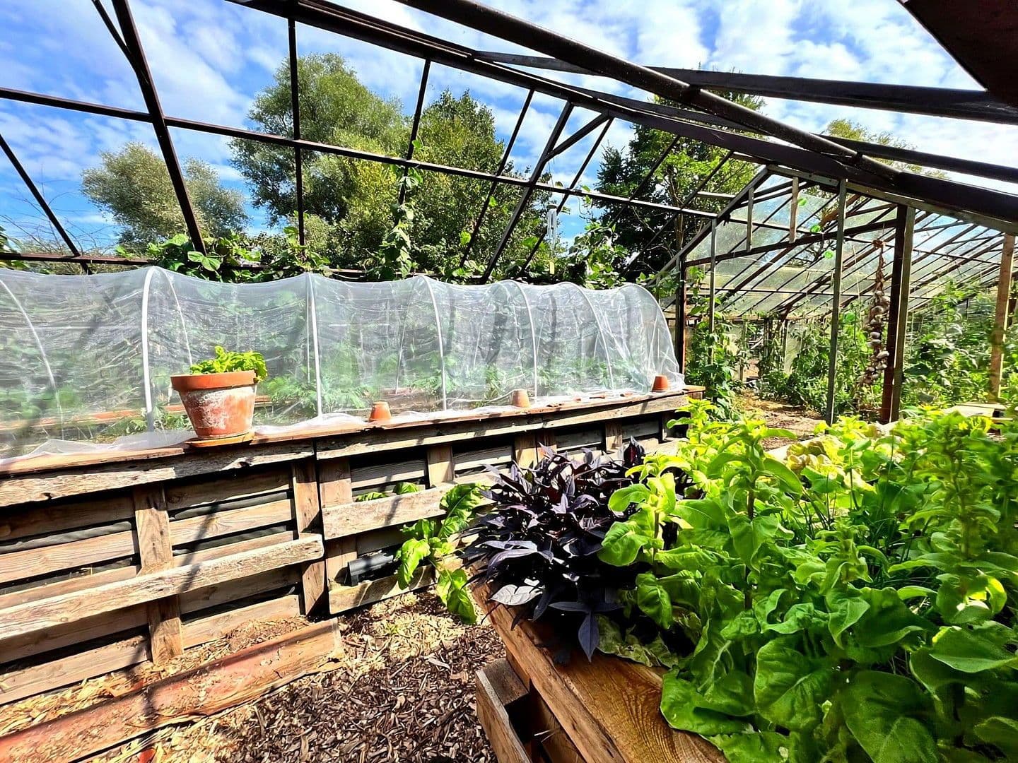 house for sale, 900 m², Badinger Weg 25, Zehdenick, Brandenburg house for sale, 900 m², Badinger Weg 25, Zehdenick, Brandenburg