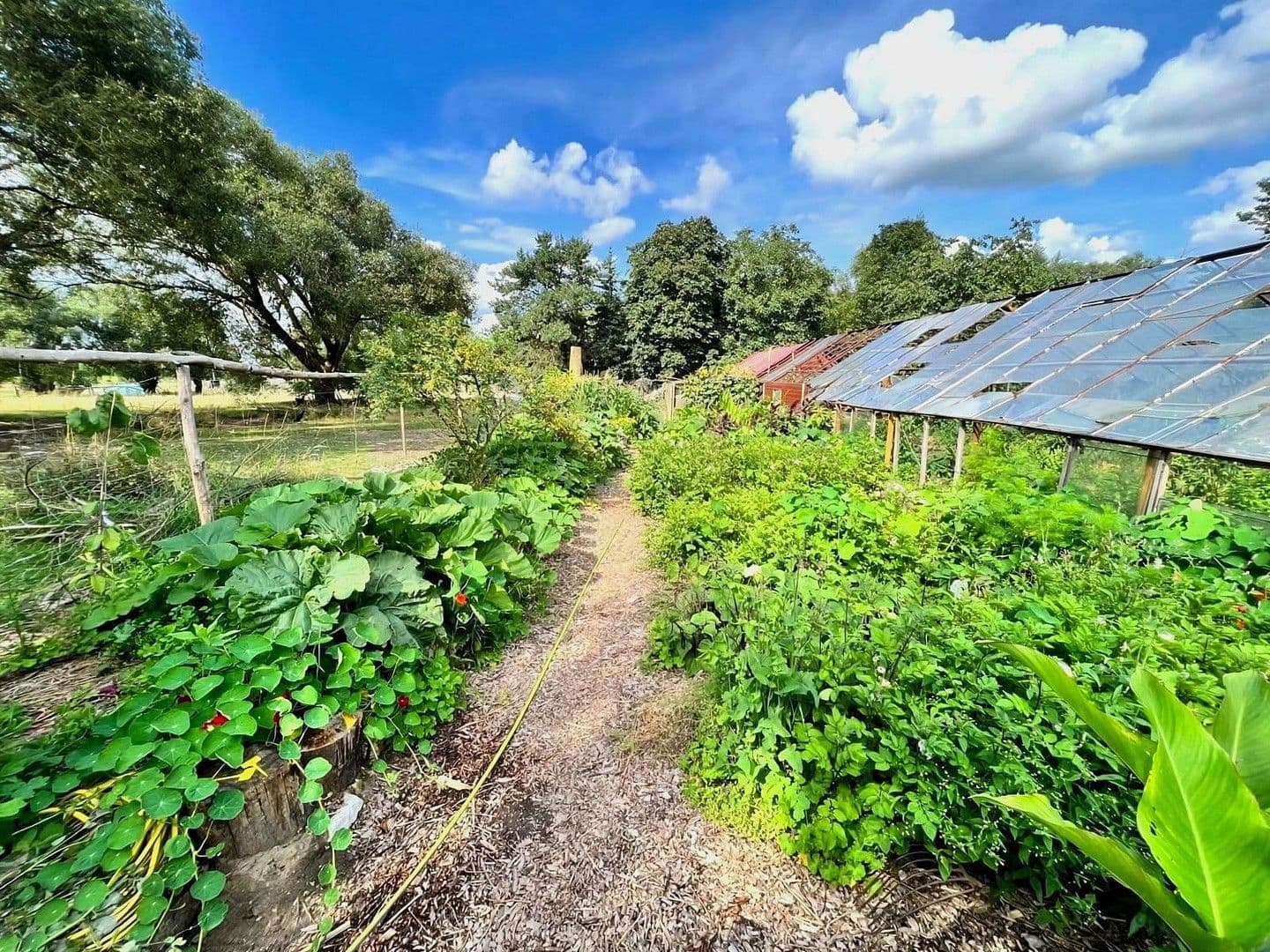 house for sale, 900 m², Badinger Weg 25, Zehdenick, Brandenburg house for sale, 900 m², Badinger Weg 25, Zehdenick, Brandenburg