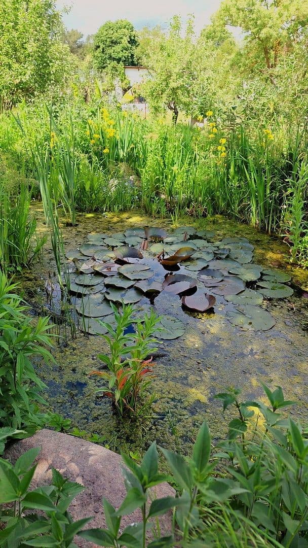 house for sale, 900 m², Badinger Weg 25, Zehdenick, Brandenburg house for sale, 900 m², Badinger Weg 25, Zehdenick, Brandenburg