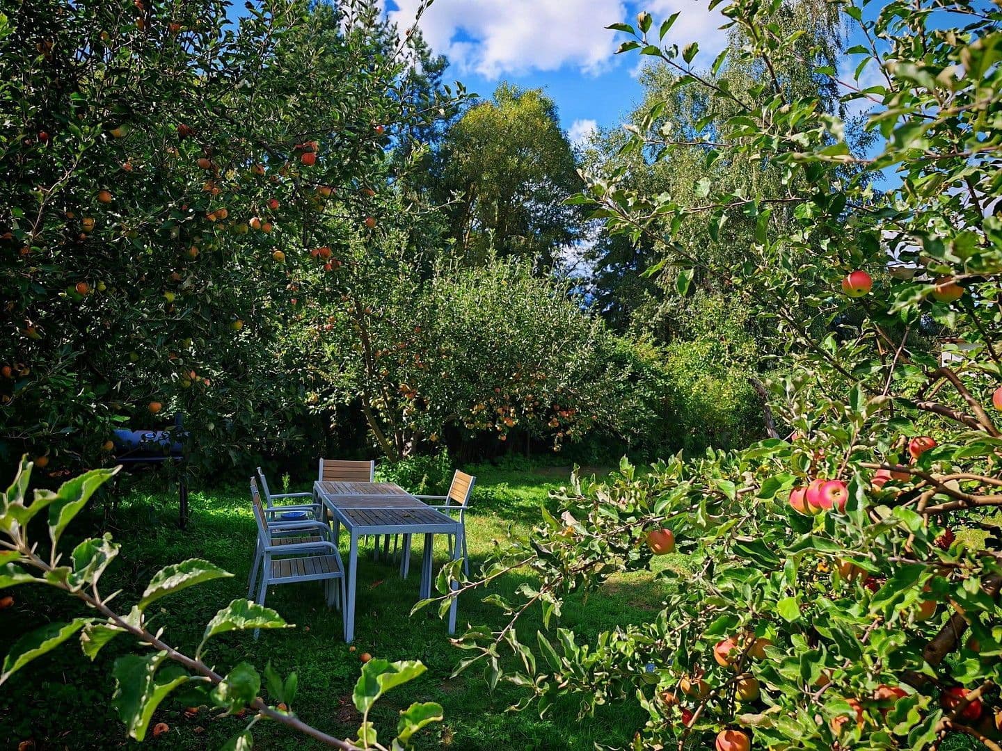 house for sale, 900 m², Badinger Weg 25, Zehdenick, Brandenburg house for sale, 900 m², Badinger Weg 25, Zehdenick, Brandenburg