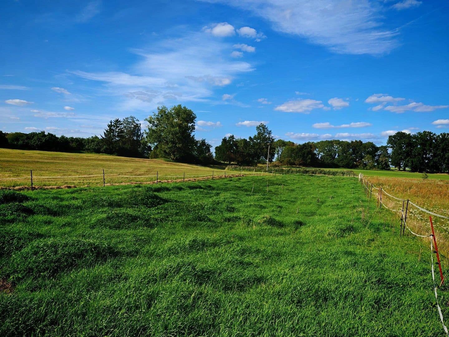 house for sale, 900 m², Badinger Weg 25, Zehdenick, Brandenburg house for sale, 900 m², Badinger Weg 25, Zehdenick, Brandenburg