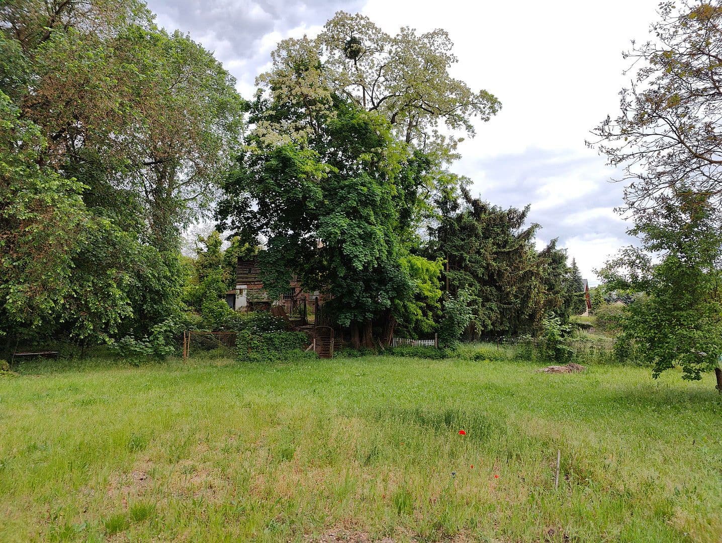 plot for sale, 8,608 m², Wilhelmienenberg 14, Bad Freienwalde (Oder), Brandenburg plot for sale, 8,608 m², Wilhelmienenberg 14, Bad Freienwalde (Oder), Brandenburg