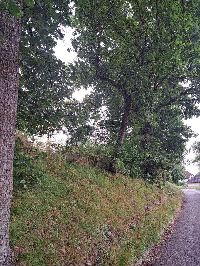 plot for sale, 992 m², Leitnerweg, Leharweg, Walding, Upper Austria plot for sale, 992 m², Leitnerweg, Leharweg, Walding, Upper Austria