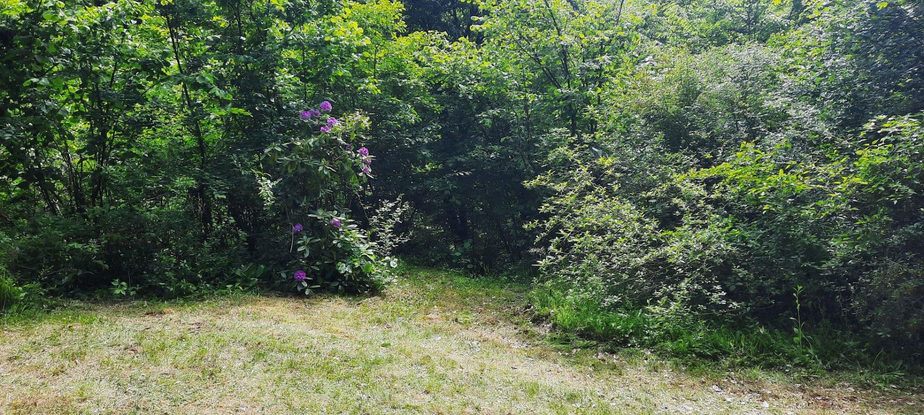 plot for sale, 8,272 m², Ranch Ried Retter, Krems, Lower Austria plot for sale, 8,272 m², Ranch Ried Retter, Krems, Lower Austria