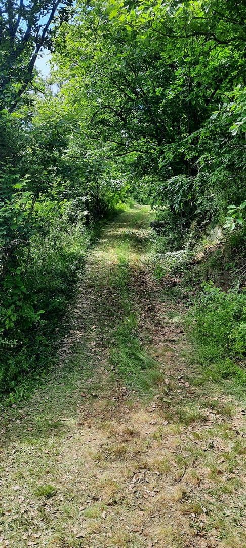 plot for sale, 8,272 m², Ranch Ried Retter, Krems, Lower Austria plot for sale, 8,272 m², Ranch Ried Retter, Krems, Lower Austria