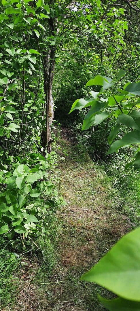 plot for sale, 8,272 m², Ranch Ried Retter, Krems, Lower Austria plot for sale, 8,272 m², Ranch Ried Retter, Krems, Lower Austria