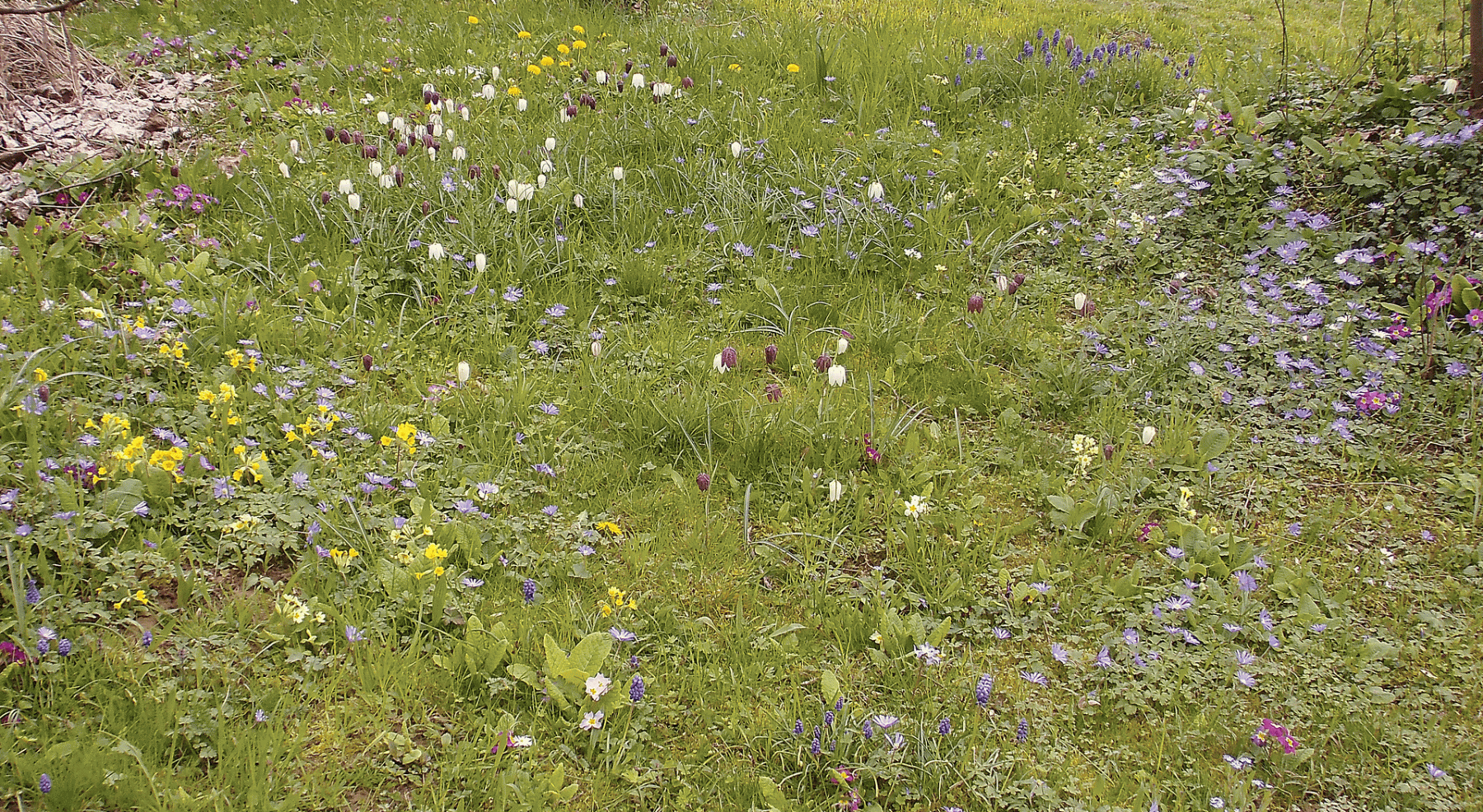 house for sale, 326 m², Nellinger Straße 47, Stuttgart, Baden-Württemberg house for sale, 326 m², Nellinger Straße 47, Stuttgart, Baden-Württemberg