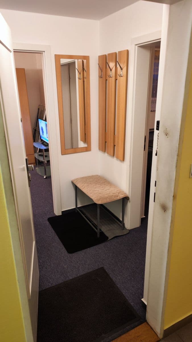 1 bedroom with open-plan kitchen flat to rent, 52 m², Tavolníková, Prague, Prague 1 bedroom with open-plan kitchen flat to rent, 52 m², Tavolníková, Prague, Prague