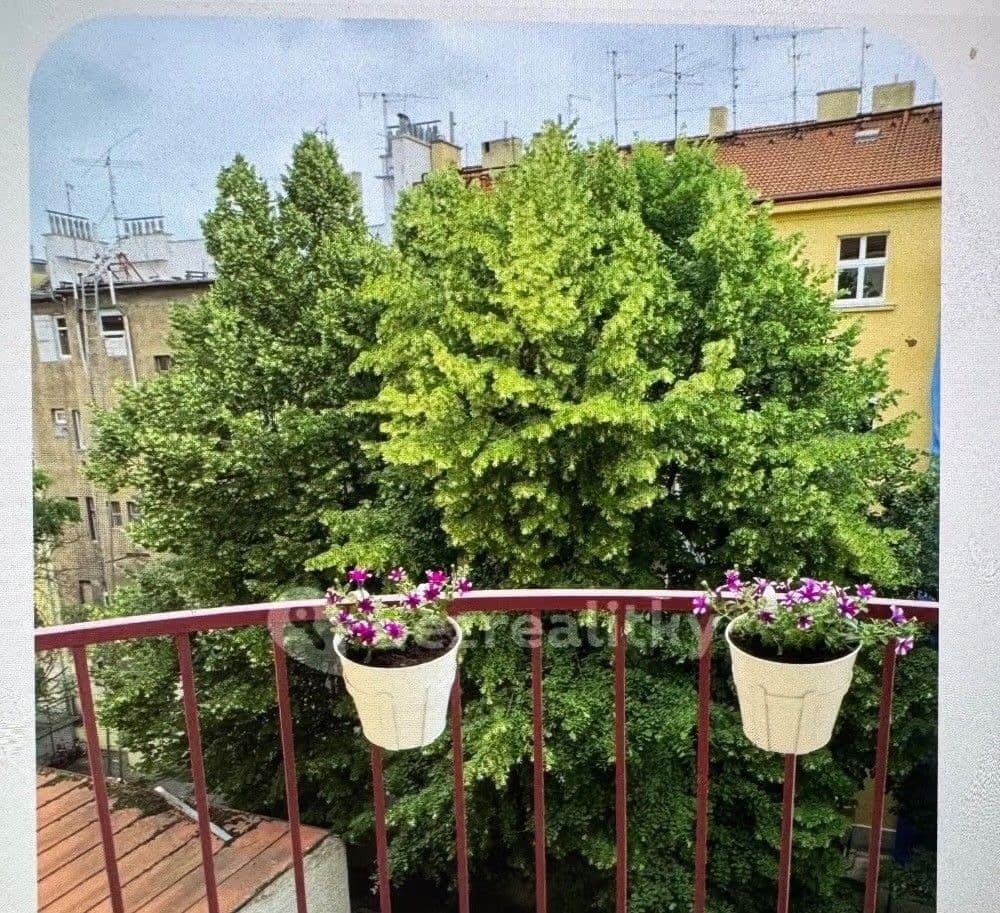 1 bedroom with open-plan kitchen flat to rent, 45 m², náměstí Dr. Václava Holého, Prague, Prague 1 bedroom with open-plan kitchen flat to rent, 45 m², náměstí Dr. Václava Holého, Prague, Prague