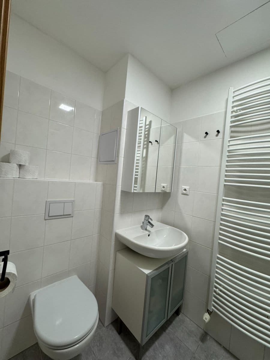 Studio flat to rent, 31 m², V Honech, Klecany, Středočeský Region Studio flat to rent, 31 m², V Honech, Klecany, Středočeský Region