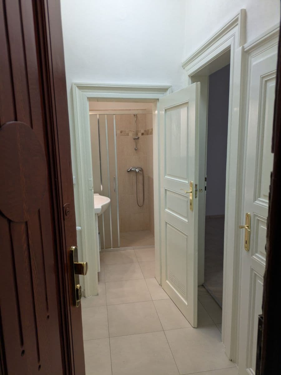 1 bedroom with open-plan kitchen flat to rent, 38 m², Táboritská, Prague, Prague 1 bedroom with open-plan kitchen flat to rent, 38 m², Táboritská, Prague, Prague