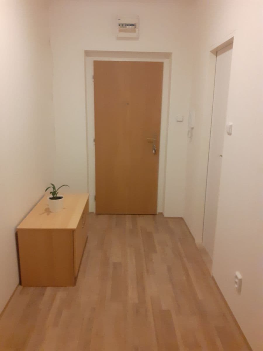 1 bedroom with open-plan kitchen flat to rent, 52 m², Pešlova, Prague, Prague 1 bedroom with open-plan kitchen flat to rent, 52 m², Pešlova, Prague, Prague