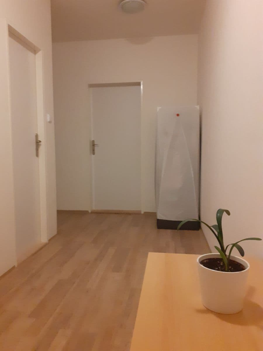 1 bedroom with open-plan kitchen flat to rent, 52 m², Pešlova, Prague, Prague 1 bedroom with open-plan kitchen flat to rent, 52 m², Pešlova, Prague, Prague
