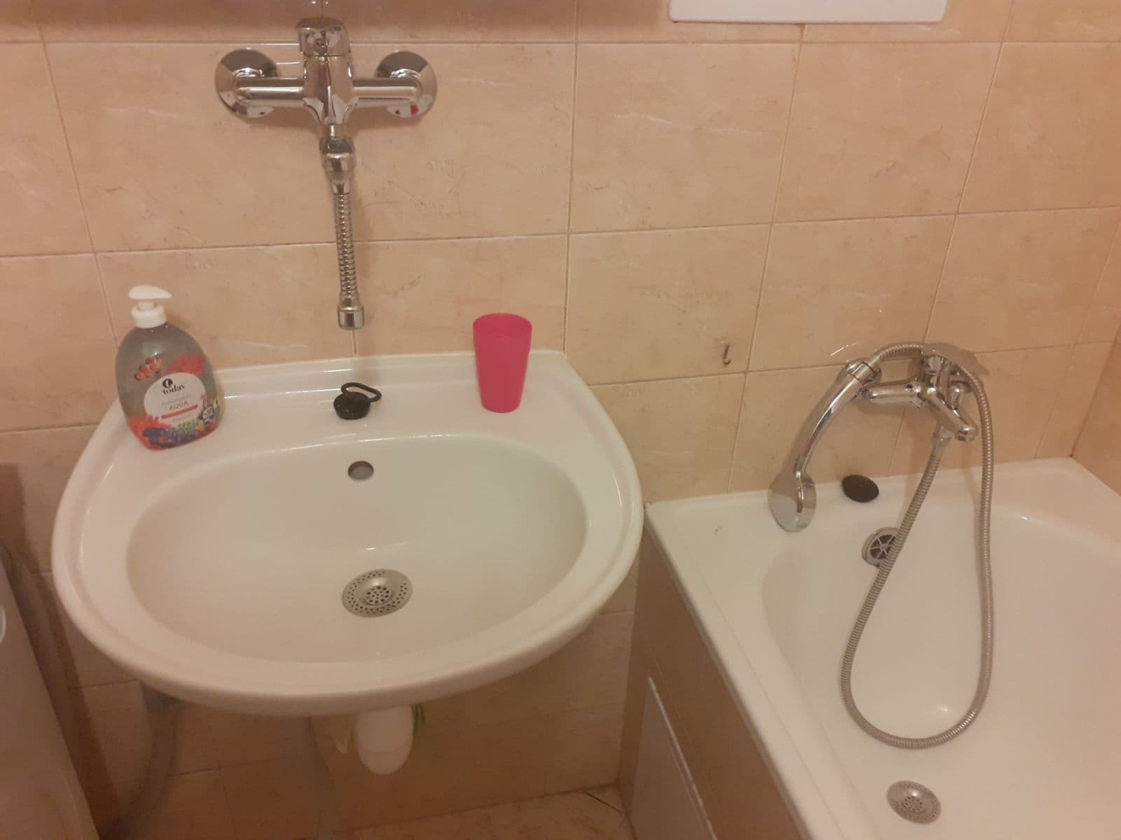 1 bedroom with open-plan kitchen flat to rent, 52 m², Pešlova, Prague, Prague 1 bedroom with open-plan kitchen flat to rent, 52 m², Pešlova, Prague, Prague