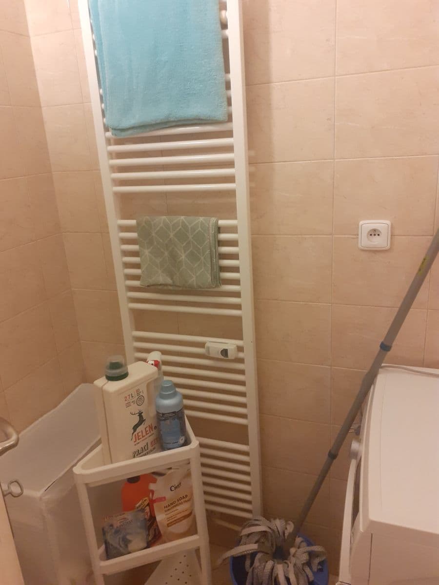 1 bedroom with open-plan kitchen flat to rent, 52 m², Pešlova, Prague, Prague 1 bedroom with open-plan kitchen flat to rent, 52 m², Pešlova, Prague, Prague