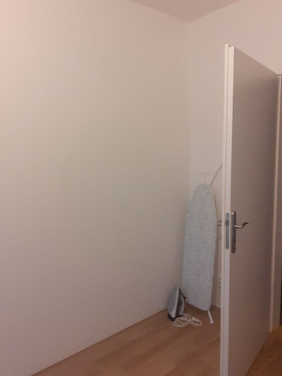 1 bedroom with open-plan kitchen flat to rent, 52 m², Pešlova, Prague, Prague 1 bedroom with open-plan kitchen flat to rent, 52 m², Pešlova, Prague, Prague