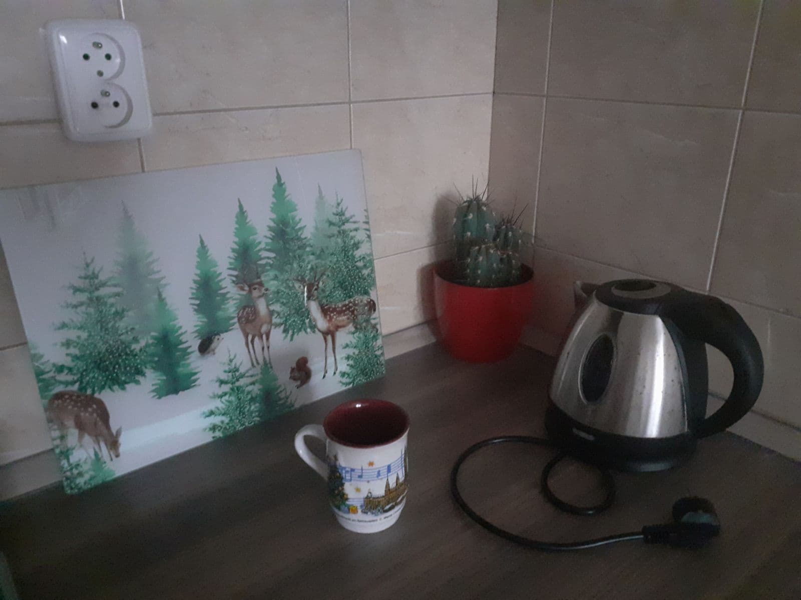 1 bedroom with open-plan kitchen flat to rent, 52 m², Pešlova, Prague, Prague 1 bedroom with open-plan kitchen flat to rent, 52 m², Pešlova, Prague, Prague