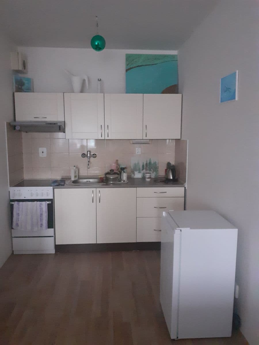 1 bedroom with open-plan kitchen flat to rent, 52 m², Pešlova, Prague, Prague 1 bedroom with open-plan kitchen flat to rent, 52 m², Pešlova, Prague, Prague