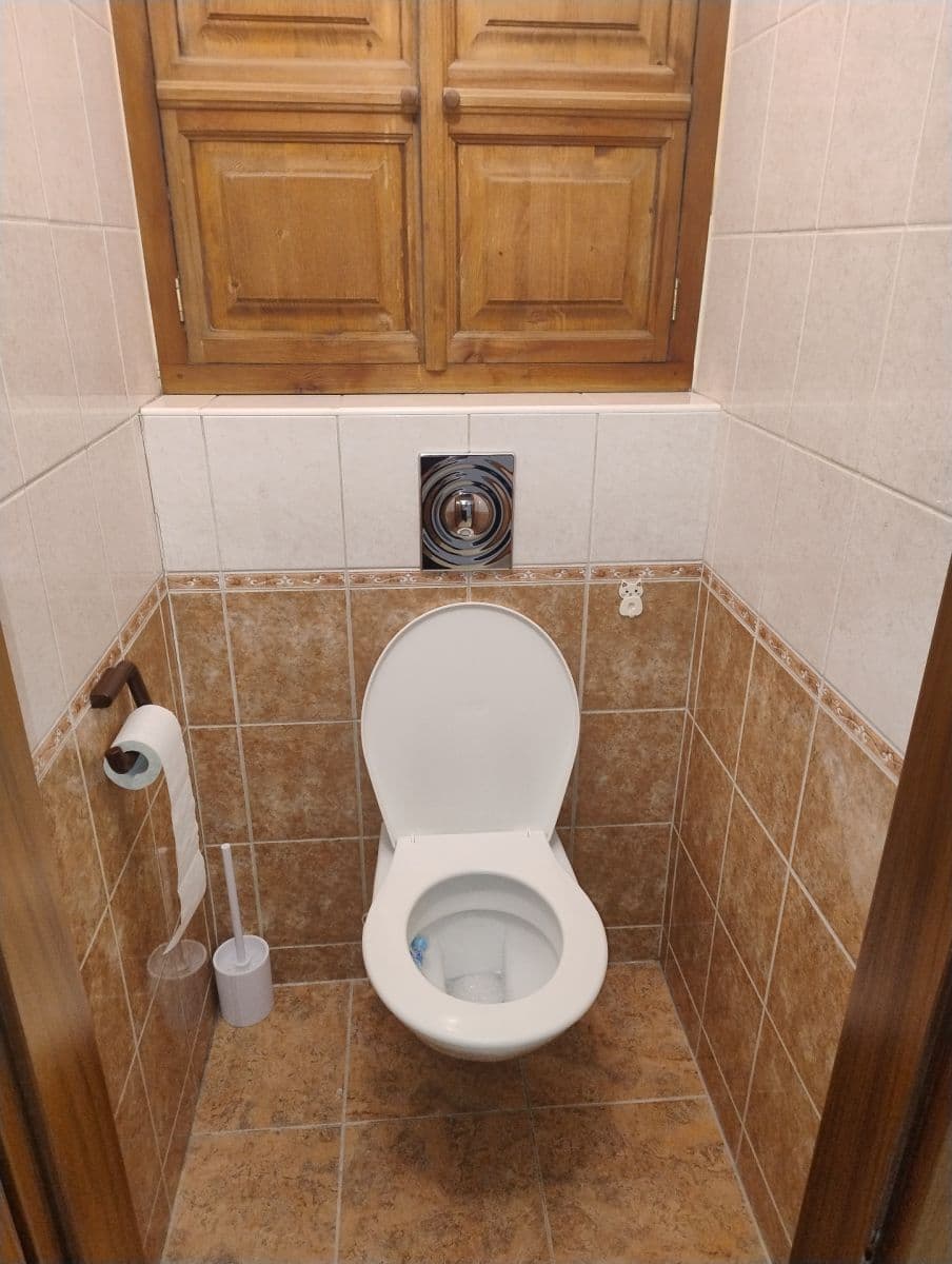 1 bedroom with open-plan kitchen flat to rent, 39 m², Štúrova, Prague, Prague 1 bedroom with open-plan kitchen flat to rent, 39 m², Štúrova, Prague, Prague